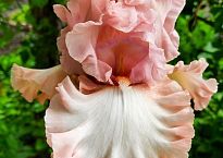 Відкриття сезону 2026